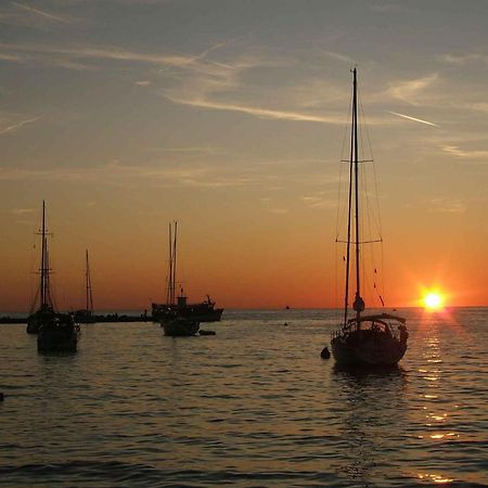 Apartments In Novigrad - Istrien 46738 Karpinjan Dış mekan fotoğraf