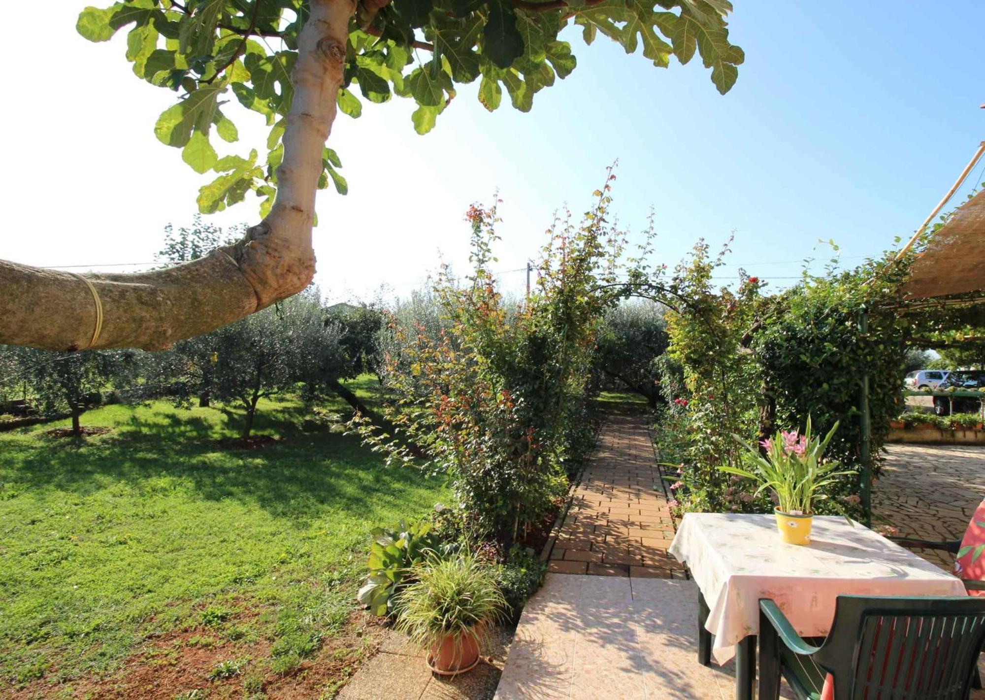 Apartments In Novigrad - Istrien 46738 Karpinjan Dış mekan fotoğraf